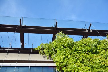 Modern cam ve beton binaya bakmanın soyut görüntüsü. Ofis binasının mimari dış ayrıntıları. 