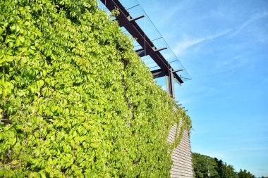 Modern cam ve beton binaya bakmanın soyut görüntüsü. Ofis binasının mimari dış ayrıntıları. 