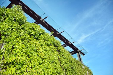 Modern cam ve beton binaya bakmanın soyut görüntüsü. Ofis binasının mimari dış ayrıntıları. 