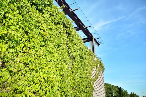 Modern cam ve beton binaya bakmanın soyut görüntüsü. Ofis binasının mimari dış ayrıntıları. 