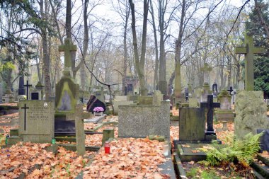 Varşova, Polonya. 24 Ekim 2019. Eski Powazki, Varşova 'nın Wola bölgesindeki tarihi mezarlıktır. Mezarlıktaki mezar taşları ve ağaçlar..