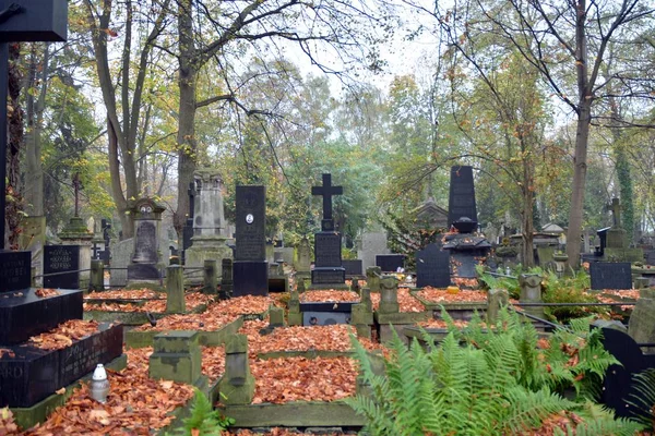 波兰华沙 2019年10月24日 老波拉斯基 Old Powazki 是华沙沃拉地区的一座历史性公墓 古墓前的墓碑和树木 — 图库照片