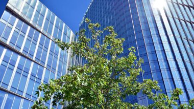 Cam aynalı ofis binasının ön dokusu. Ön cephenin bir parçası. Ofis binasının modern mimarisi.