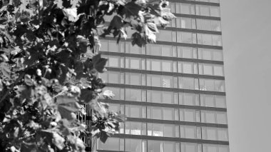 Yüksek kontrastlı siyah ve beyaz tonlu soyut modern mimari. Cam pencerede geometrinin mimarisi - monokrom.