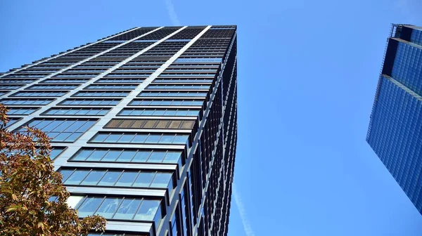 Bölgesindeki Modern Ofis Binalarının Alt Manzarası — Stok fotoğraf