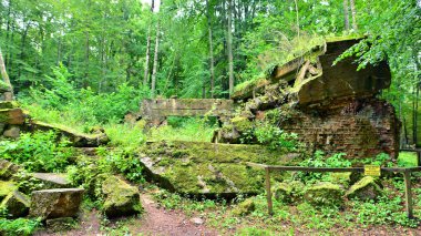 Ormanda yıkılmış 2. Dünya Savaşı kalıntıları bulundu. Yosun, çalılık ve diğer bitkilerle kaplıydı..