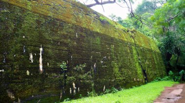 Ormanda yıkılmış 2. Dünya Savaşı kalıntıları bulundu. Yosun, çalılık ve diğer bitkilerle kaplıydı..