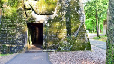 Ormanda yıkılmış 2. Dünya Savaşı kalıntıları bulundu. Yosun, çalılık ve diğer bitkilerle kaplıydı..