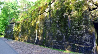 Ormanda yıkılmış 2. Dünya Savaşı kalıntıları bulundu. Yosun, çalılık ve diğer bitkilerle kaplıydı..