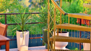 Terasta, saksılarda bitki ve bitkiler olan, çelik spiral altın merdivenler..