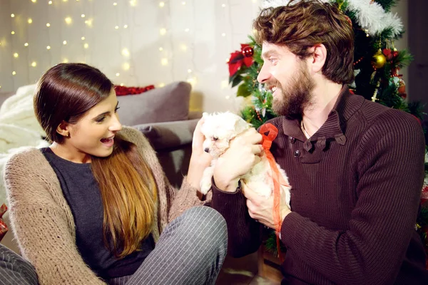 Man Een Leuke Lieve Puppy Hondje Geven Aan Zijn Vrouw Stockafbeelding