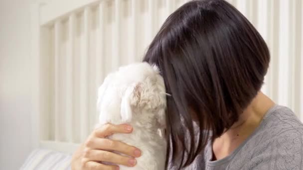 Mulher Feliz Brincando Com Cão Cama Noite — Vídeo de Stock