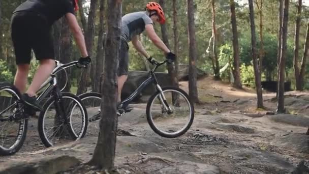 松林の中バイクに乗ってヘルメットのトライアル自転車 — ストック動画