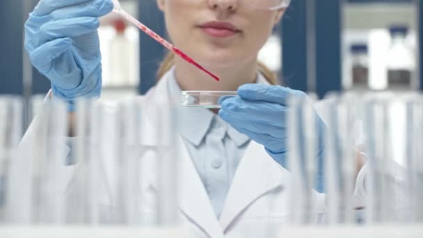 Gedeeltelijke Weergave Van Vrouwelijke Wetenschapper Holding Petrischaal Pipetteer Tijdens Experiment — Stockvideo