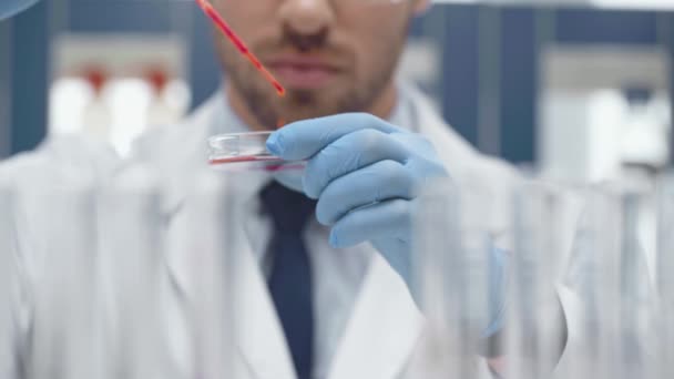 Bijgesneden Weergave Van Mannelijke Wetenschapper Met Behulp Van Petrischaal Pipetteer — Stockvideo