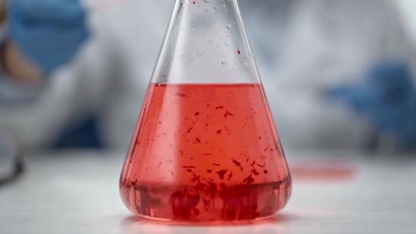 Cropped View Female Chemist Stirring Red Liquid Flask — Stock Video