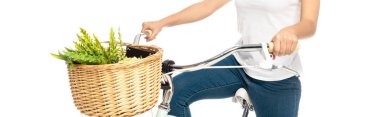 panoramic shot of woman riding bicycle isolated on white  clipart