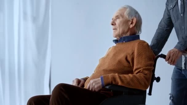 Bijgesneden Beeld Van Man Duwen Rolstoel Met Gehandicapte Senior Man — Stockvideo