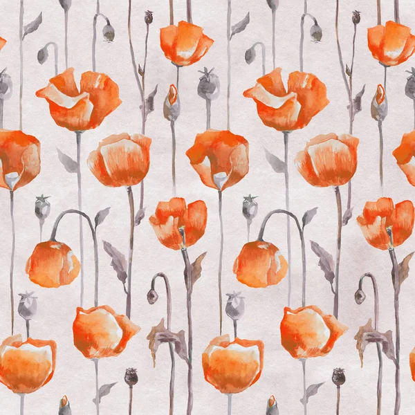 Red poppies on white background. Seamless watercolor pattern