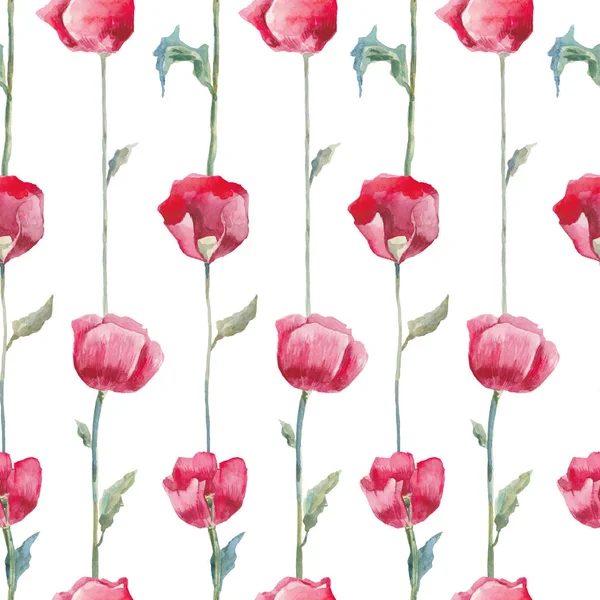 Red poppies. Hand drawn floral pattern. — Stock Photo, Image