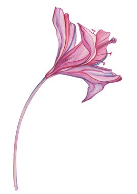 el çekilmiş soyut çiçek