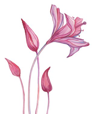 el çekilmiş soyut çiçek