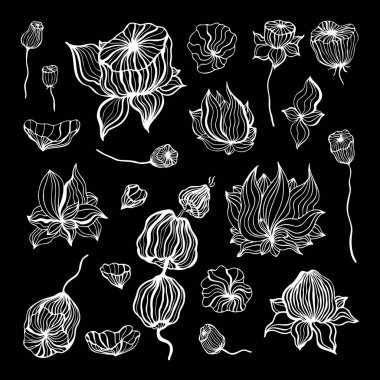 Soyut çiçek. Vektör el çekilmiş illüstrasyon izole,