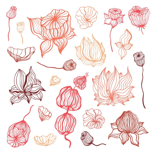 Abstract Flower. Vector Hand Drawn illustration, isolated