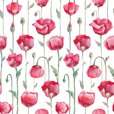 Beyaz zemin üzerine kırmızı haşhaş. Dikişsiz suluboya desen