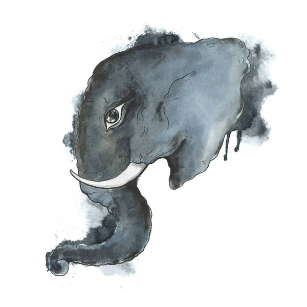 Голова слона . — стоковое фото