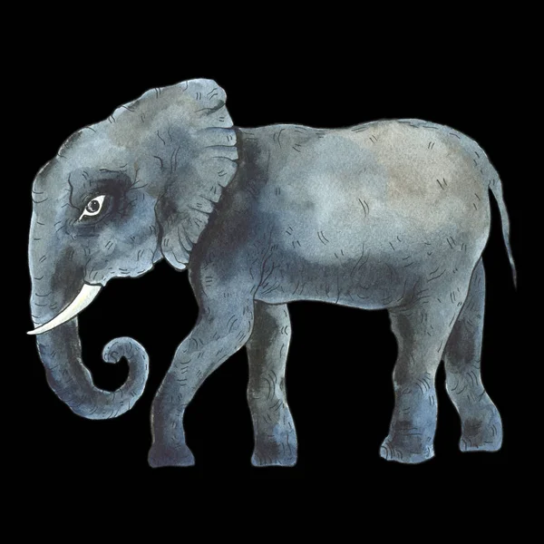 elle çizilmiş fil.