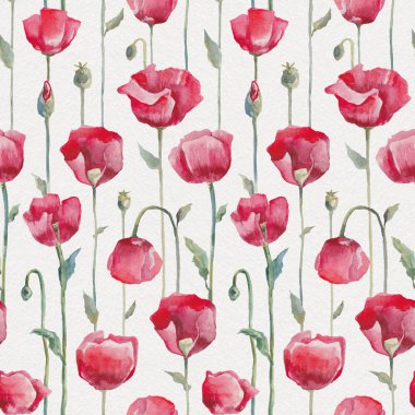 Suluboya haşhaş. Elle çizilmiş seamless modeli