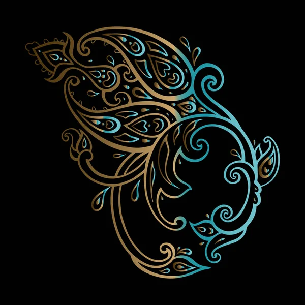 Paisley. Etnické ornament, prvky ručně kreslenou vektorové — Stockový vektor