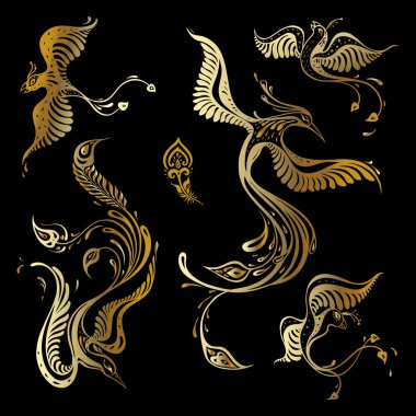 Güzel tavuskuşu seti