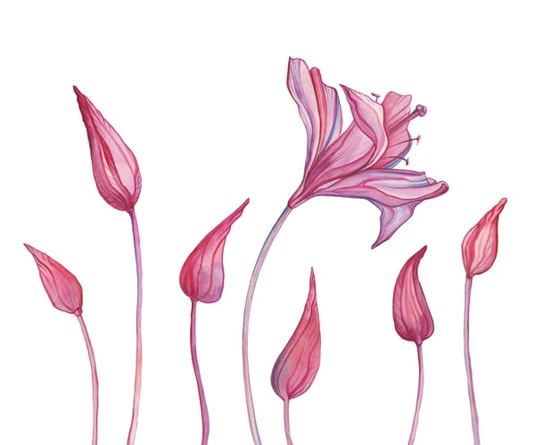 Suluboya soyut çiçek. El çekilmiş çiçek desenli — Stok fotoğraf