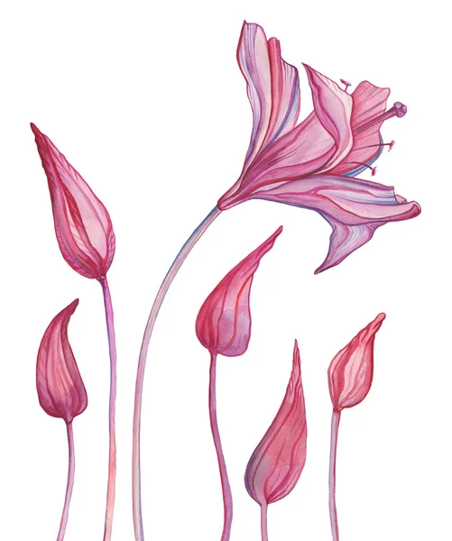 Flores abstratas desenhadas à mão — Fotografia de Stock