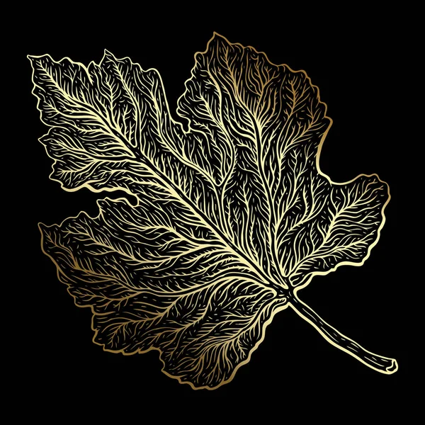 Güzel ayrıntılı yaprak. Botanik el çekilmiş gerçekçi vektör çizim — Stok Vektör