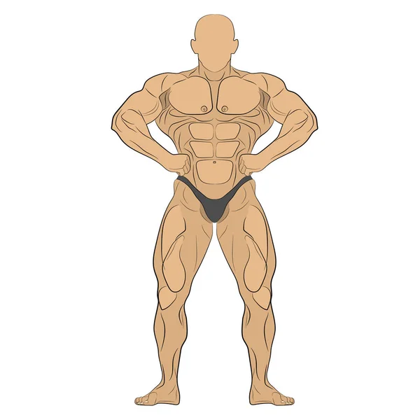 Inflated Body Muscle Man Vector Drawing Illustration — Stock Vector