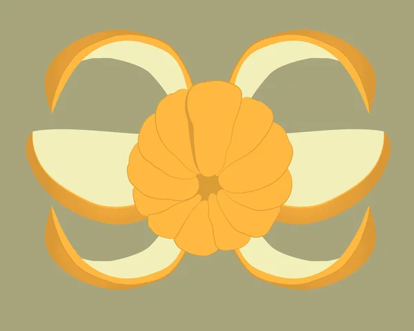 Fatias Tangerina Ilustração Desenho Vetorial Fruit — Vetor de Stock