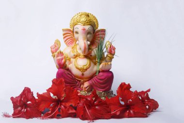 Lord Ganesha, Ganesh Festivali