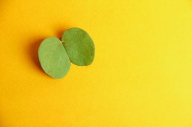 Hint Festivali Dussehra, yaprak