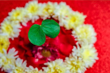 Mutlu Dussehra tebrik kartı, yeşil yaprak ve pirinç