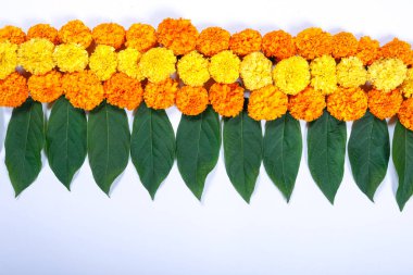 Kadife çiçeği çiçek rangoli Diwali festivali, Hint Festivali çiçek dekorasyon için tasarım