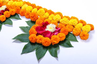 Kadife çiçeği çiçek rangoli Diwali festivali, Hint Festivali çiçek dekorasyon için tasarım