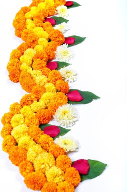 Kadife çiçeği çiçek rangoli Diwali festivali, Hint Festivali çiçek dekorasyon için tasarım