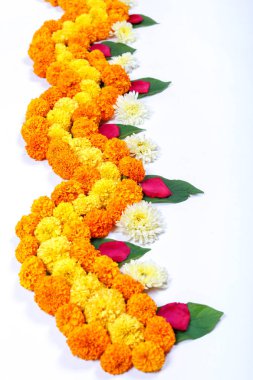 Kadife çiçeği çiçek rangoli Diwali festivali, Hint Festivali çiçek dekorasyon için tasarım