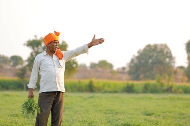 Nohut alan, nohut bitki gösterilen çiftçi adlı Hintli çiftçi