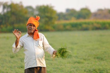 Nohut alan, nohut bitki gösterilen çiftçi adlı Hintli çiftçi