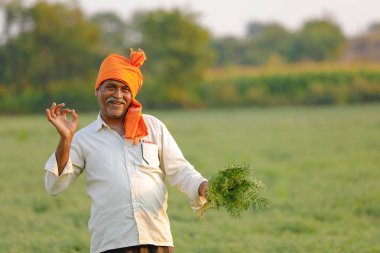 Nohut alan, nohut bitki gösterilen çiftçi adlı Hintli çiftçi