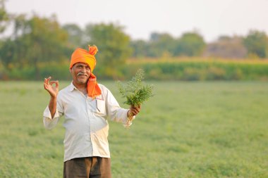 Nohut alan, nohut bitki gösterilen çiftçi adlı Hintli çiftçi